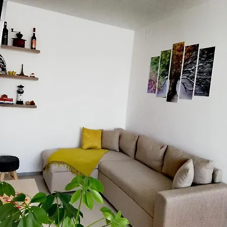 Apartament Raluca Toplita  Exterior photo