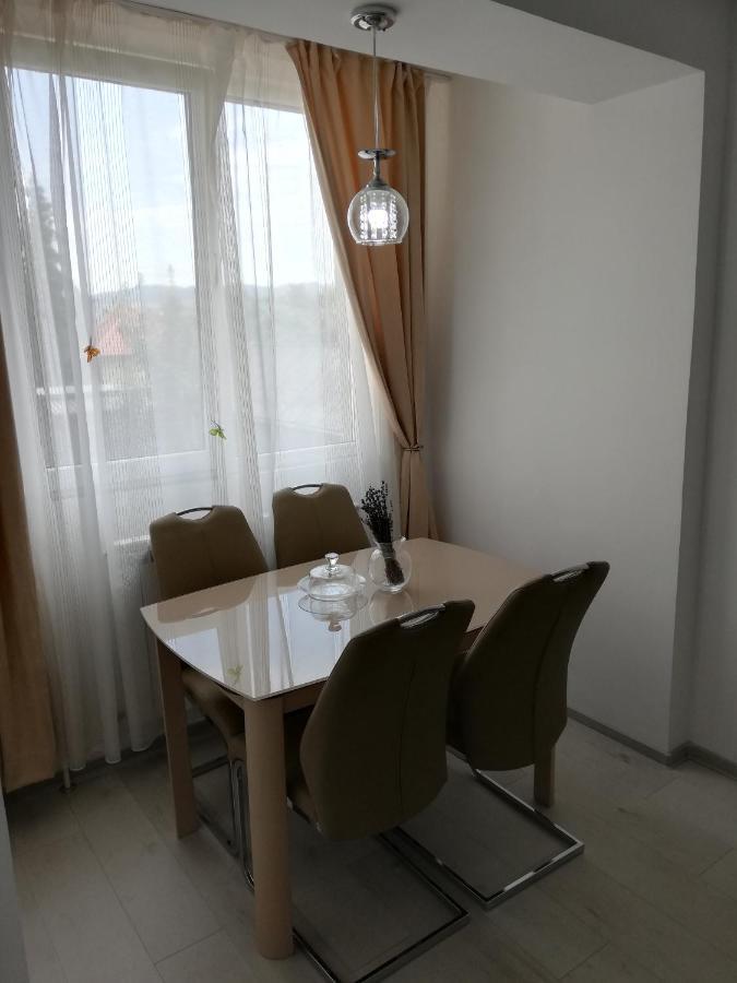 Raluca Apartment *