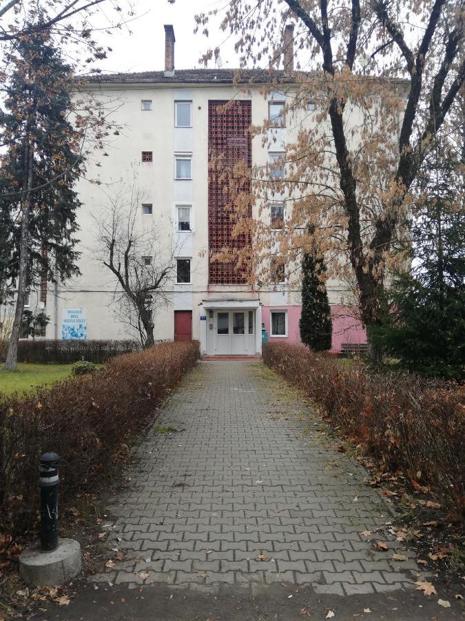 Raluca Apartment